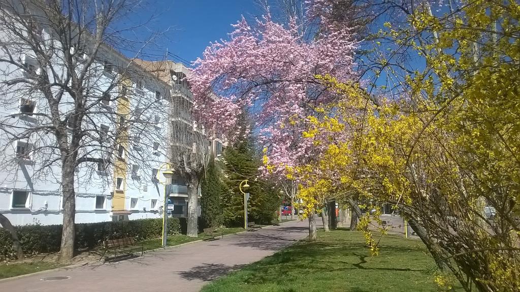 Apartamento Isabel Cuenca  Dış mekan fotoğraf